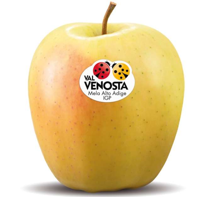 La classica Golden Delicious VIP Val Venosta