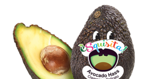 avocado hass promozione