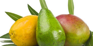 Avocado mango papaia frutta tropicale
