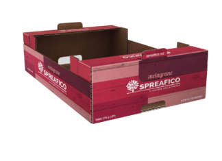 Il nuovo packaging colorato realizzato per la melagrana Spreafico made in italy
