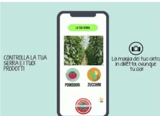 Il consumatore può vedere crescere il prodotto ortofrutticolo Io Coltivo italia tramite webcam e controllarlo con un'app