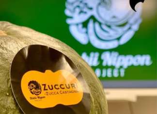 Zuccurì, la zucca-castagna giapponese coltivata da Fattorie Lingua