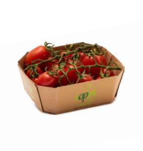 Pomodoro Ioppì, pack sostenibile con vaschetta in cartone