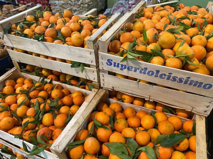 Clementine locali distribuite da Country Fruit al Mercato ortofrutticolo di Taranto