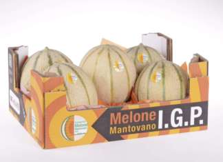 Melone Mantovano Igp, tipologia retato