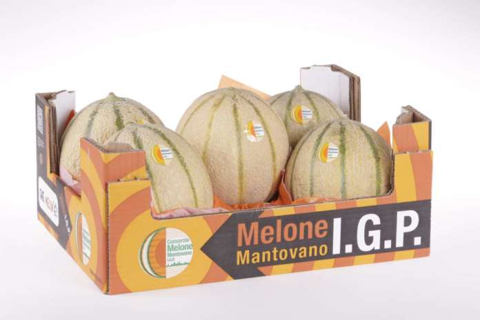Melone Mantovano Igp, tipologia retato