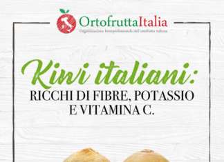 Campagna kiwi made in italy Ortofrutta Italia