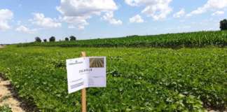 Conserve Italia investe nell'agricoltura di precisione