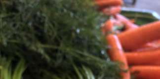 La carota del Fucino è molto colorata