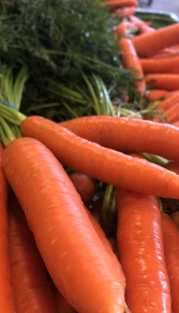La carota del Fucino è molto colorata