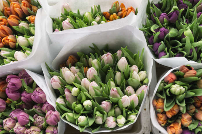 Previsioni di vendite di fiori molto positive per San Valentino