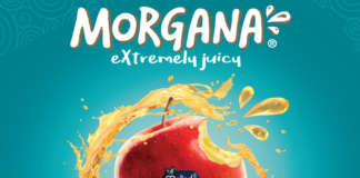 Morgana si caratterizza per la polpa succosa e lunga shelf-life