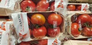Pomodoro Kamarino nel pack compostabile