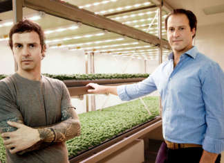 Luca Travaglini e Daniele Benatoff, co-founder di Planet Farms, specializzata in vertical farming