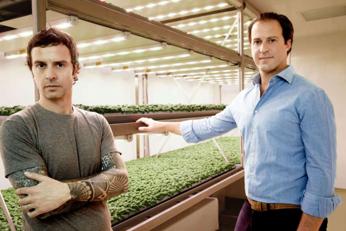 Luca Travaglini e Daniele Benatoff, co-founder di Planet Farms, specializzata in vertical farming