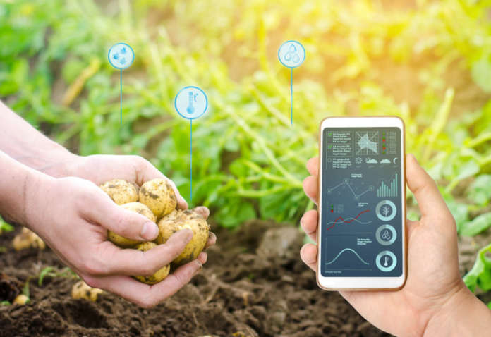 L'agricoltura digitale sta rivoluzionando il settore ortofrutticolo
