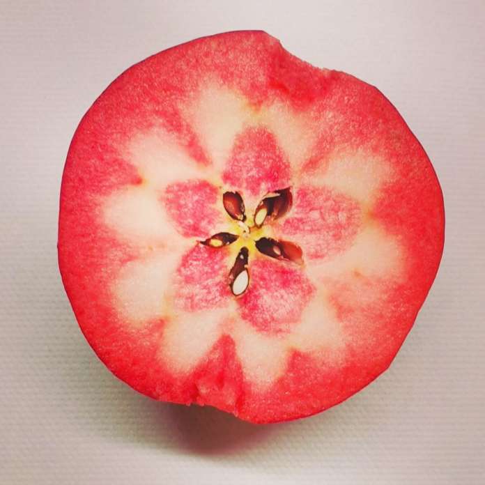 Kissabel, la mela a polpa rossa, commercializzata da Rivoira