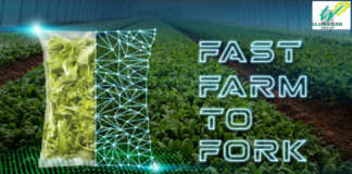 Fast Farm to Fork è il Piano triennale da 25 milioni di euro varato dalla Linea Verde