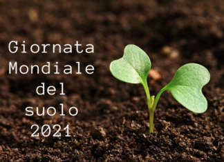 La difesa del suolo è fondamentale per la crescita sostenibile dell'agricoltura