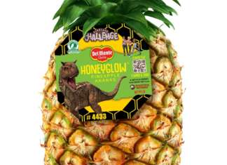 Ananas Del Monte linea Jurassic