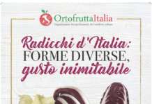 Poster informativo radicchi d'Italia