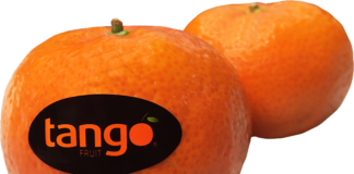 Mandarino Tango Fruit distribuito da Spreafico