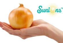Sunions, il nuovo brand della cipolla che non fa piangere