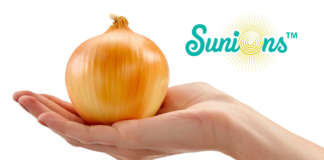 Sunions, il nuovo brand della cipolla che non fa piangere