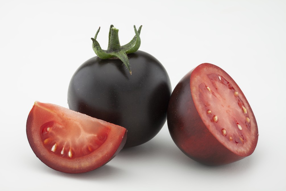 RedNoir, l'innovazione varietale nel pomodoro di Basf