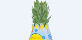 Ananas Dolcetto Alce Nero, limited edition pasquale