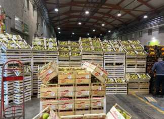 Stand Amas Group al Mercato agroalimentare di Catania
