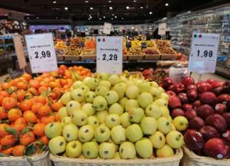 Campagna regolare con prezzi stabili per mele e mandarini