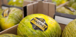 Melone Majores a marchio Orto di Eleonora