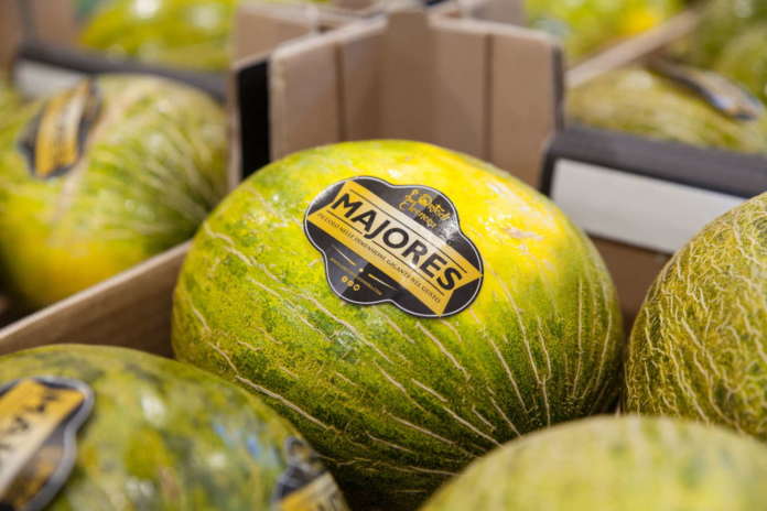 Melone Majores a marchio Orto di Eleonora