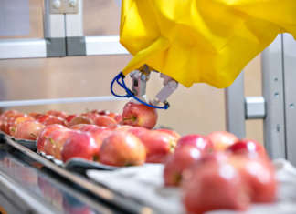 Le mele continuano a dominare l'export di ortofrutta italiana