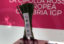 La Cipolla Rossa di Calabria Igp, una delle eccellenze dell'ortofutta made in Italy
