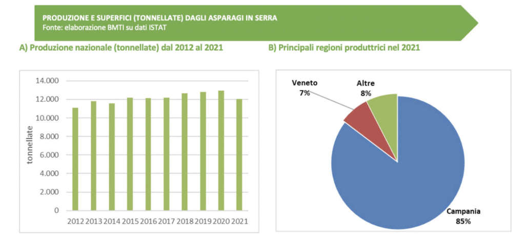 Produzione asparago Italia in serra