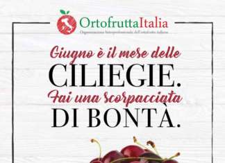 Locandina di promozione di Ortofrutta Italia per il consumo di ciliegie nazionali