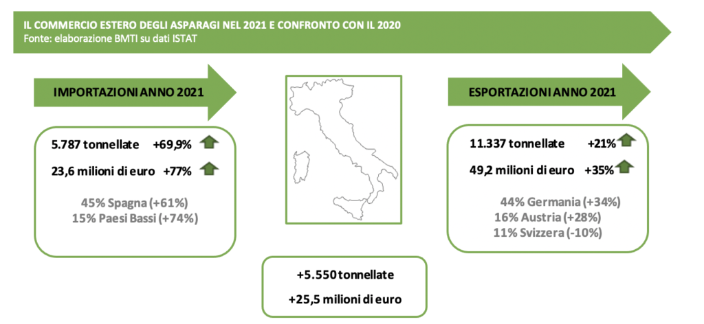 import export asparagi italia