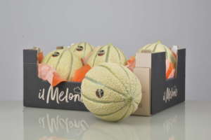 il Melone, un marchio di Agricola Don Camillo