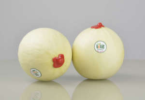 Melone liscio Lelis Agricola Don Camillo