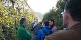 Interpoma Tour in Alto Adige