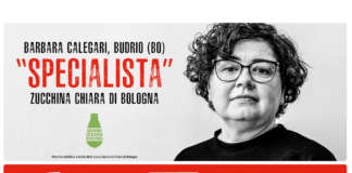 La campagna di comunicazione di Agribologna per la zucchina chiara di Bologna