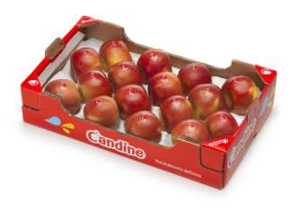 Apfruit è esclusivista di mela Candine sul territorio nazionale