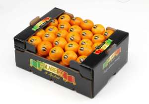 Clementine Apofruit a marchio Solarelli