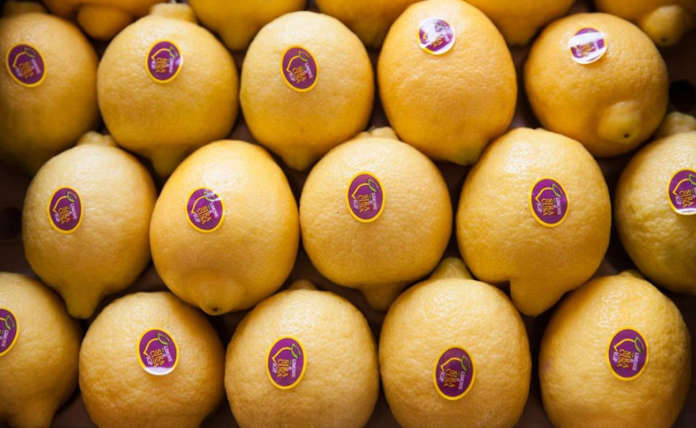 Limone di Siracusa Igp