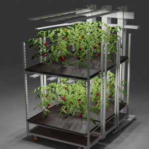 Avisomo, il sistema modulare di vertical farming