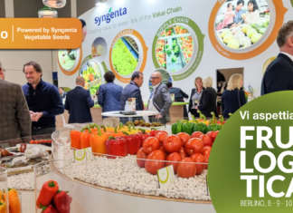 Lo stand di Syngenta Vegetable Seeds a Fruit Logistica (padiglione 1.2 stand C-50)