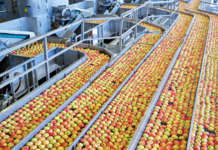 Vog Products lavora circa il 70-80% del raccolto di mele italiano in un'unica sede