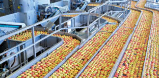 Vog Products lavora circa il 70-80% del raccolto di mele italiano in un'unica sede